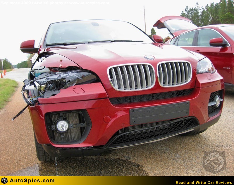 Deer in bmw engine #7