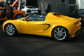 Lotus    